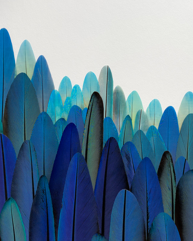 tableau bleu paysage mosaïque de plumes de perroquet