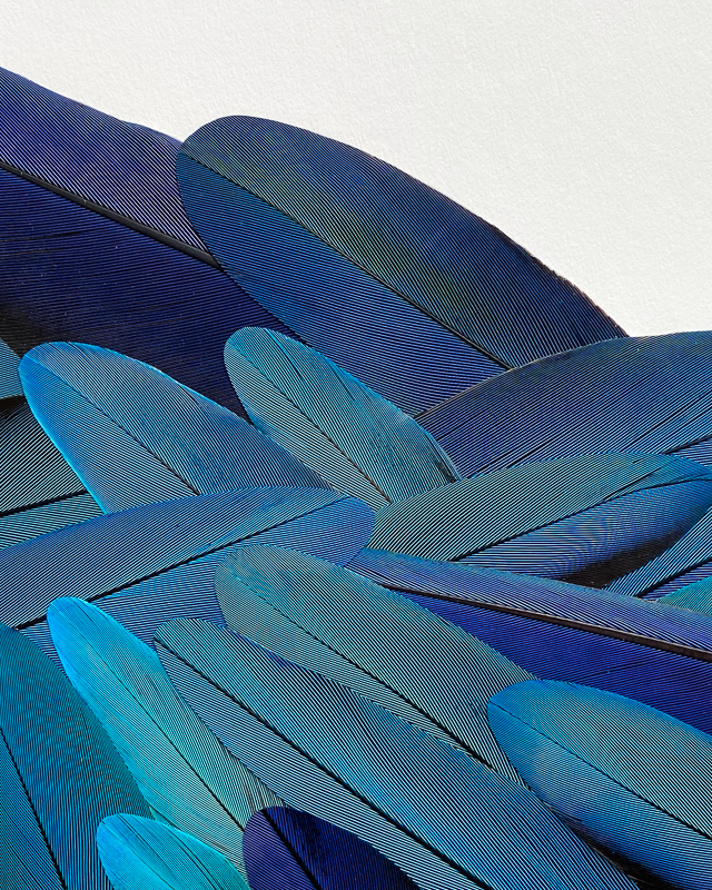 tableau bleu paysage mosaïque de plumes de perroquet